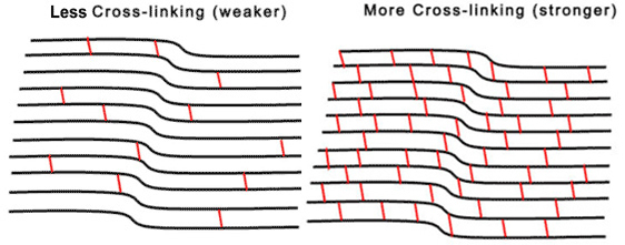 Less cross-linking vs more cross-linking