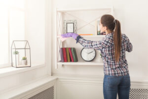 woman dust proofing home